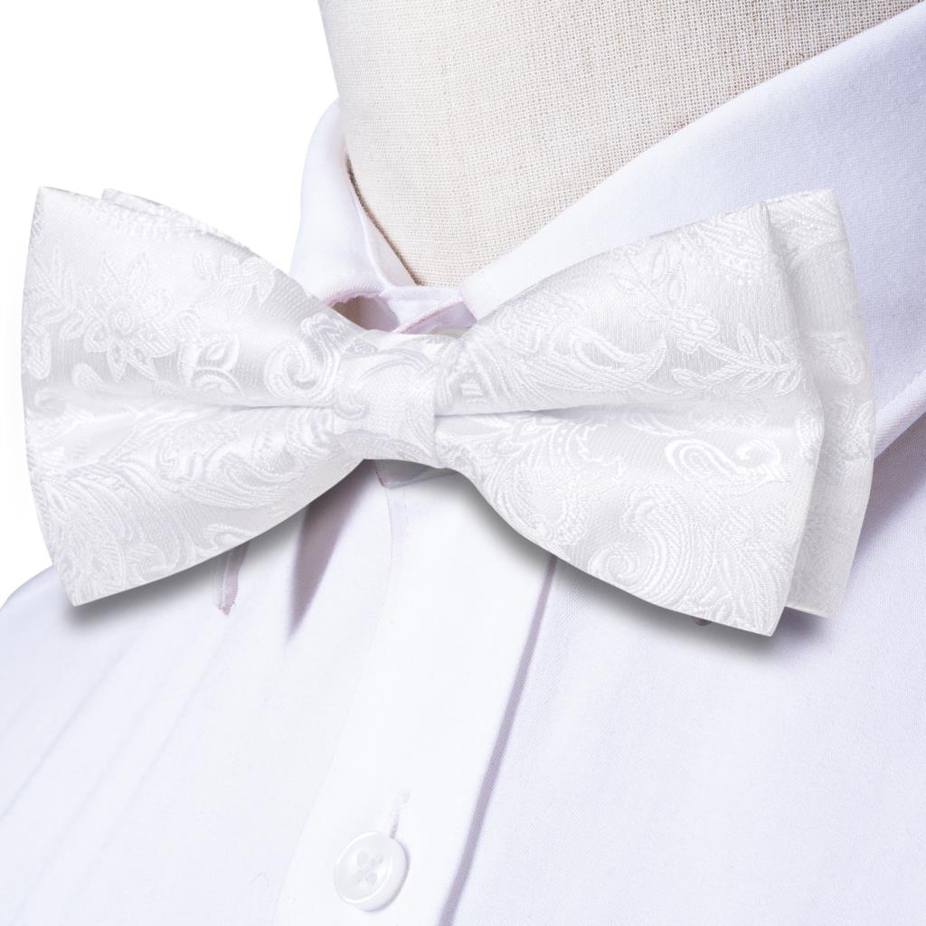 Мужской комплект: галстук-бабо – обзор и цена Bow Tie Pre Tied